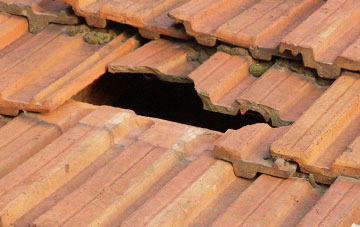 roof repair Mearns